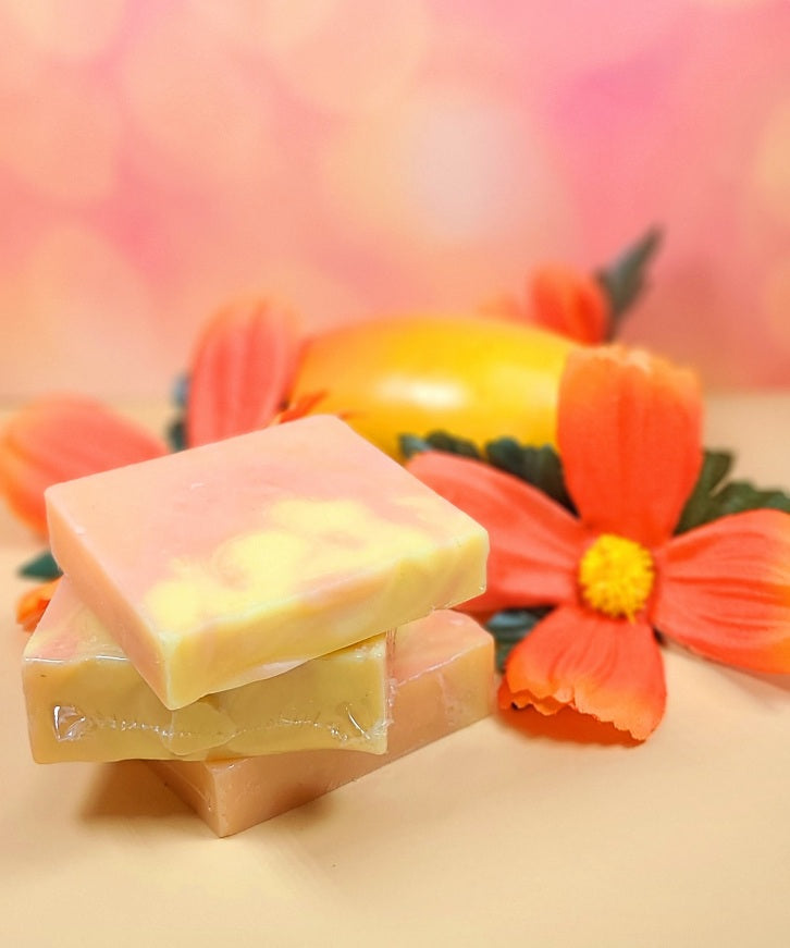 Hibiscus Mango Handmade Soap