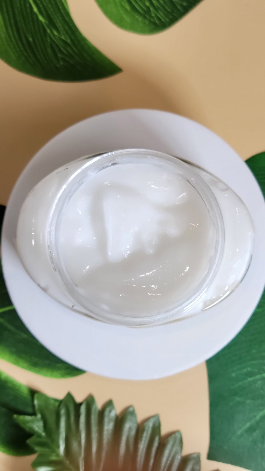 White Tea Extract Face Cream